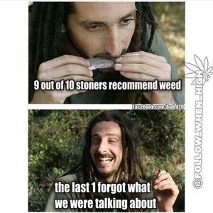 Meet your Posher, Damian