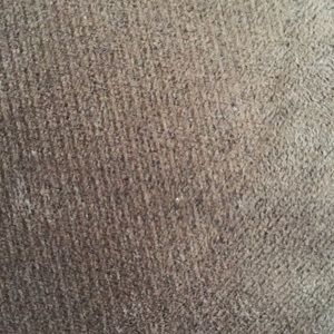 Meet your Posher, Alison