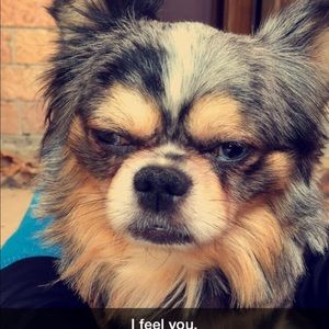 Meet your Posher, Aida