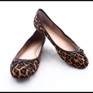 Banana republic ashley leopard  print  flats