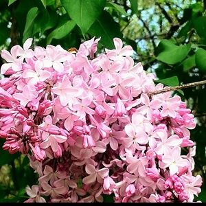 Meet your Posher, Meghan