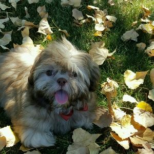 Meet your Posher, Kristi