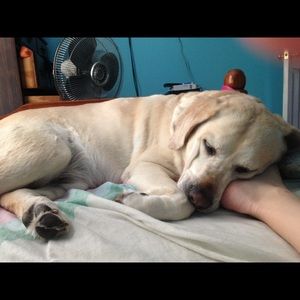 Meet your Posher, Macey