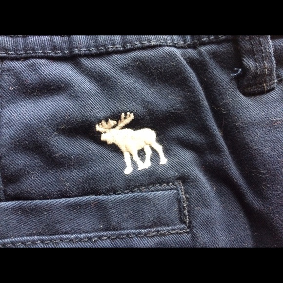 Abercrombie and Fitch shorts - Picture 3 of 4