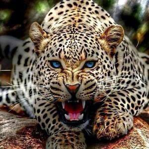 Meet your Posher, Richard