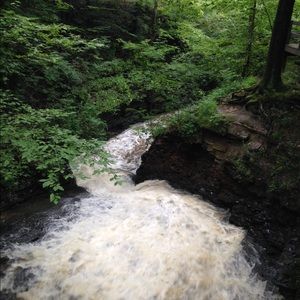 Meet your Posher, Jacki