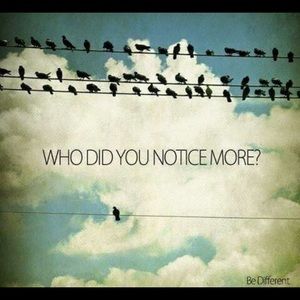 Meet your Posher, Lyndsay