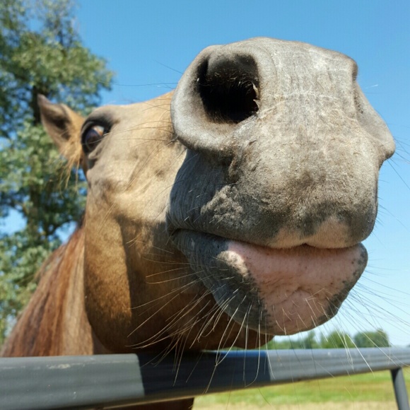 Meet your Posher, Bryt