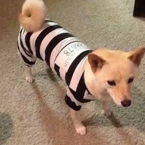 Meet your Posher, Ben