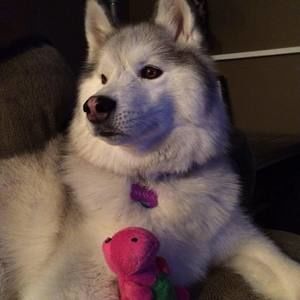 Meet your Posher, Gretchen