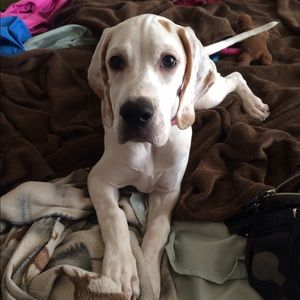 Meet your Posher, Carlee