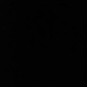 Meet your Posher, Regina