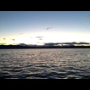 Meet your Posher, Harrison