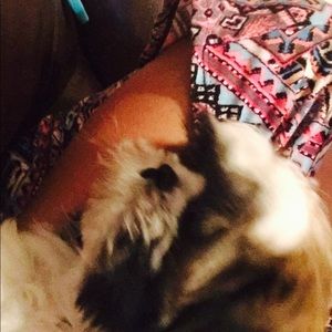 Meet your Posher, Julissa