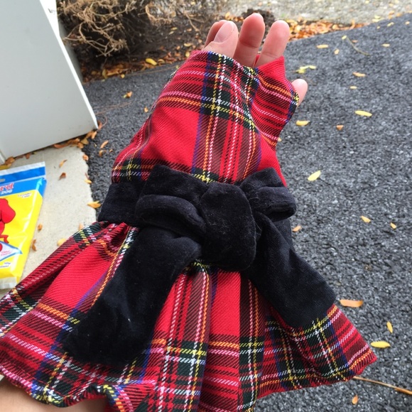 Dog clothes - Picture 3 of 3