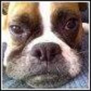 Meet your Posher, Carrie