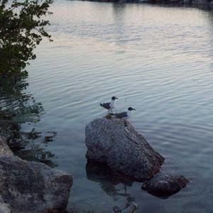 Meet your Posher, Annette