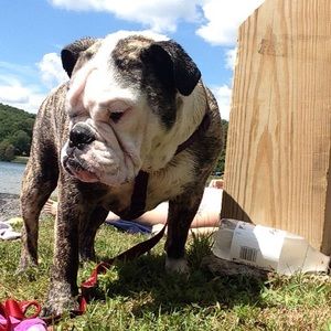 Meet your Posher, Bethany