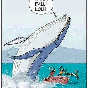 Meet your Posher, Carleigh