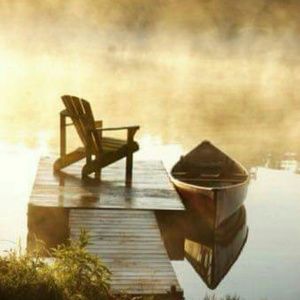 Meet your Posher, Shellt