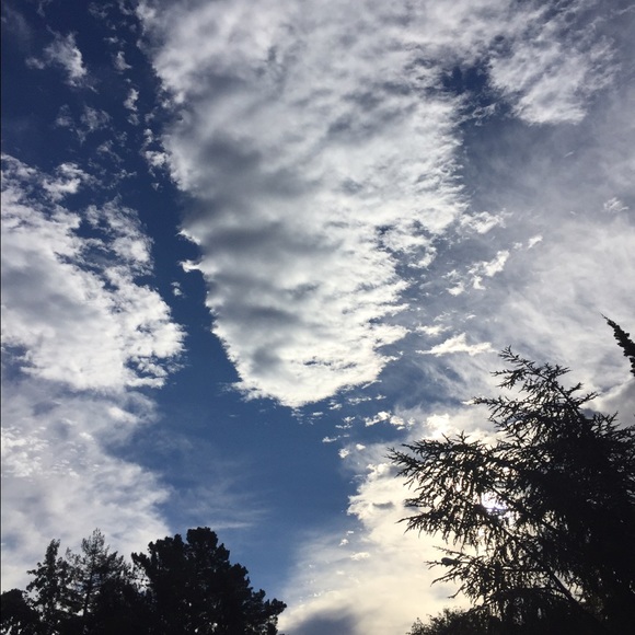 Meet your Posher, Brittany - Picture 1 of 1