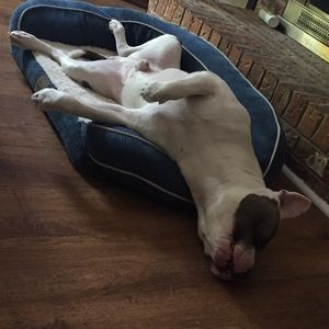 Meet your Posher, Keshauna