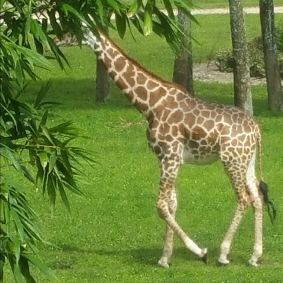 Meet your Posher, Heather - Picture 1 of 1