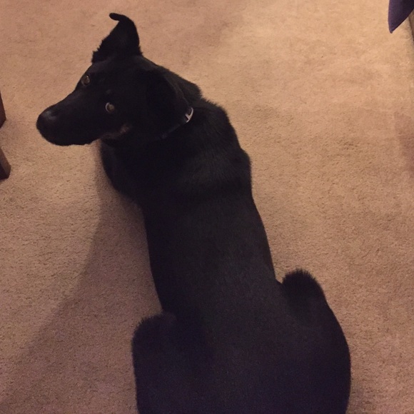 Meet your Posher, Kristi