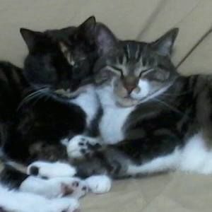 Meet your Posher, Liana