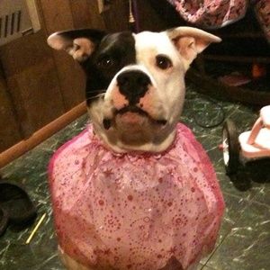 Meet your Posher, Nora