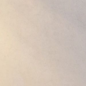 Meet your Posher, Cheyenne