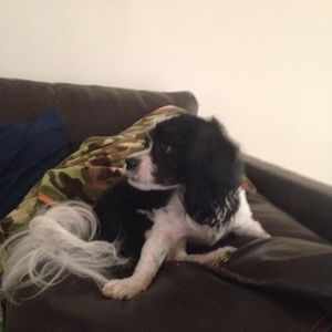 Meet your Posher, Tisha