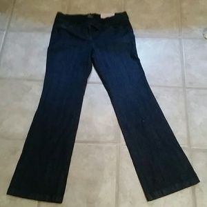 Ann Taylor New with Tag Jeans