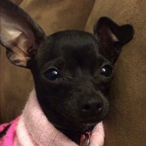 Meet your Posher, Anna