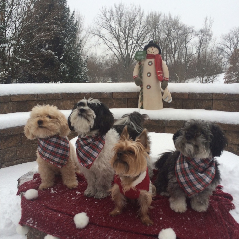 Meet your Posher, Kathy