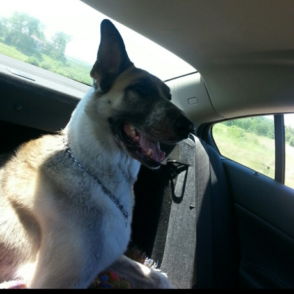 Meet your Posher, Imigula - Picture 2 of 4