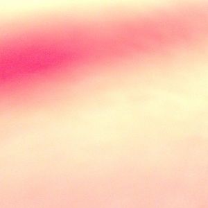 Meet your Posher, Jaylon