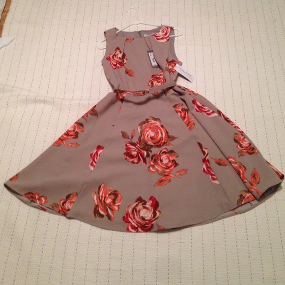 Eva Mendes New York & Company