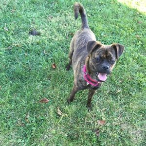 Meet your Posher, Carrie