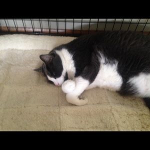 Meet your Posher, Diane