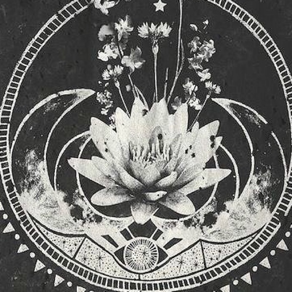 Meet your Posher, Devon - Picture 1 of 1