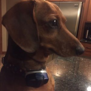 Meet your Posher, Lynne