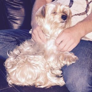 Meet your Posher, Laura