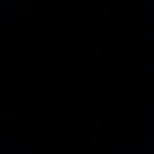 Meet your Posher, Shantel