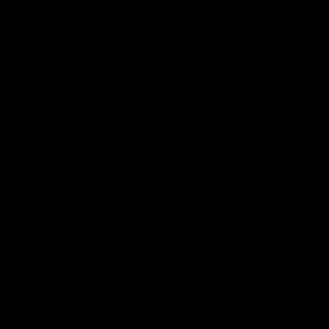 Meet your Posher, Ellen