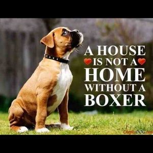 Meet your Posher, Dorian