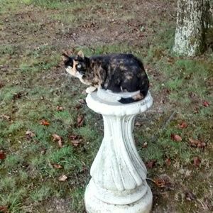 Meet your Posher, April