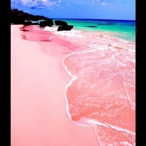 Meet your Posher, Ceneca