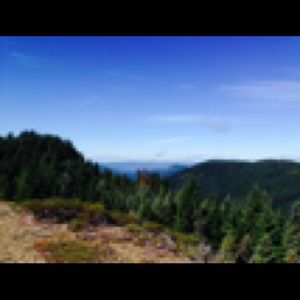 Meet your Posher, Andi