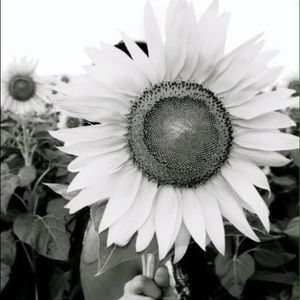 Meet your Posher, Bridget